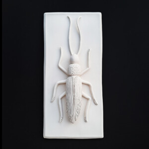 Antennae