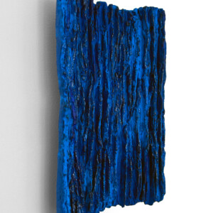 Blue Bark
