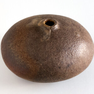 Pebble IV