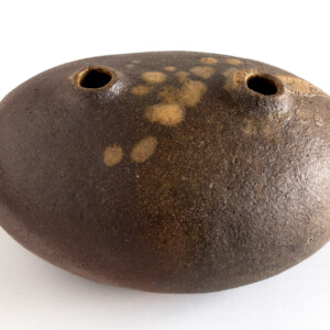 Pebble V