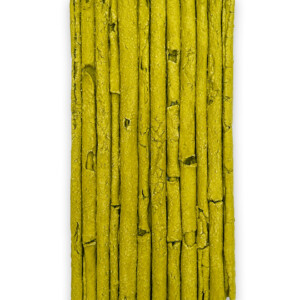 Yellow Roots I