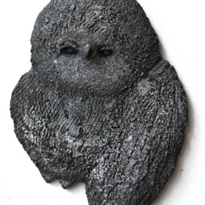 Aamuvirkku